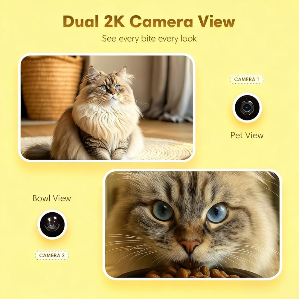 AI-Powered Cat Feeder with Dual Cameras: 6L WiFi Feeder, 6 Meals/Day, Stay Connected via App
